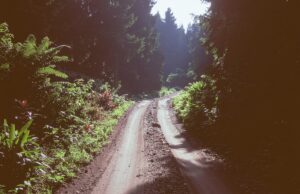 Jejak Sunyi di Rimba Timika: Sepeda Tua dan Cinta yang Tak Berkata