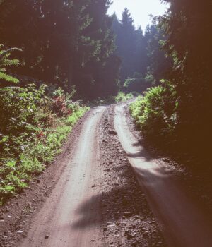 Jejak Sunyi di Rimba Timika: Sepeda Tua dan Cinta yang Tak Berkata