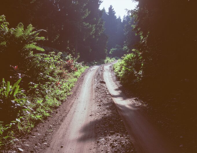 Jejak Sunyi di Rimba Timika: Sepeda Tua dan Cinta yang Tak Berkata