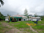 Untuk Pengutan Layanan Kesehatan, Kadinkes Mimika Tinjau Fasilitas Kesehatan Strategis