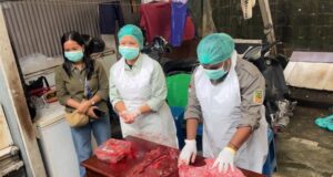 30 Petugas Disnakkeswan Mimika Kawal Keamanan Daging Kurban: Ada Temuan Cacing, Aman Dikonsumsi