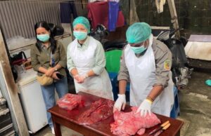30 Petugas Disnakkeswan Mimika Kawal Keamanan Daging Kurban: Ada Temuan Cacing, Aman Dikonsumsi