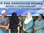 TP-PKK Mimika Serahkan Bantuan Hewan Kurban kepada Yayasan Arrahmah Papua