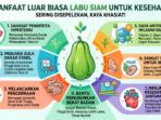 Infografis manfaat labu siam