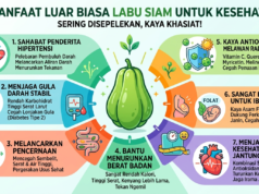 Sering Disepelekan, Ini 8 Manfaat Luar Biasa Labu Siam untuk Kesehatan!
