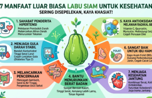 Sering Disepelekan, Ini 8 Manfaat Luar Biasa Labu Siam untuk Kesehatan!
