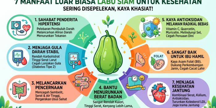 Infografis manfaat labu siam