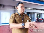 Lindungi Peternak Lokal, Pemprov Papua Tengah Kaji Pembatasan Telur Impor Antardaerah